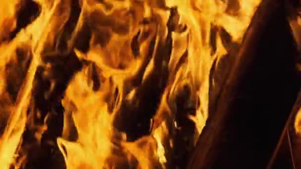 Velký táborák hoří v noci. Fire Flame Background. Pomalý pohyb 240 fps — Stock video
