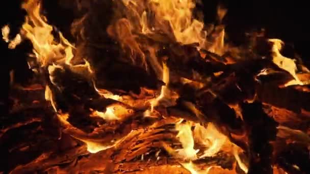 Heiße Kohlen brennen ein großes Feuer nieder und leuchten leuchtend rot. Zeitlupe 240 fps — Stockvideo
