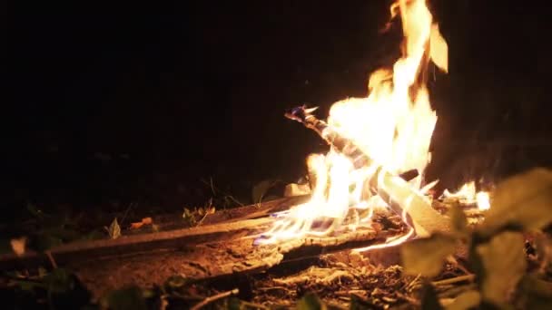 Ormanda Şenlik Ateşi Gece Yanar. Kamp ateşi doğada yanar. Yavaş Hareket — Stok video