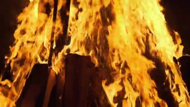 Big Bonfire arde noaptea. Fire Flame Background. Mișcare lentă 240 fps — Videoclip de stoc