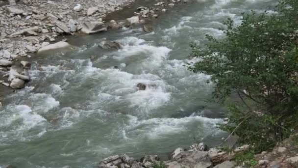 Mountain River med Rocky Rapids och kaskader av snabbt vatten. Karpaterna — Stockvideo