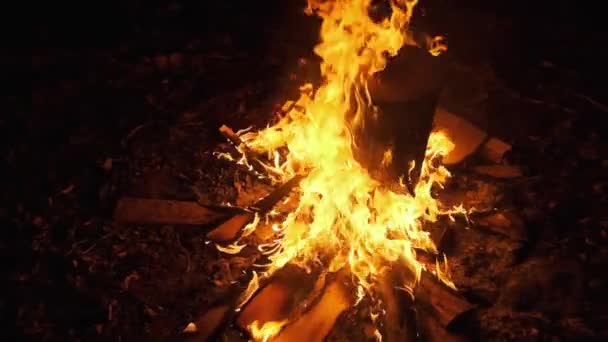 Grande fogueira a arder à noite. Fogo de fundo chama. Movimento lento 240 fps — Vídeo de Stock