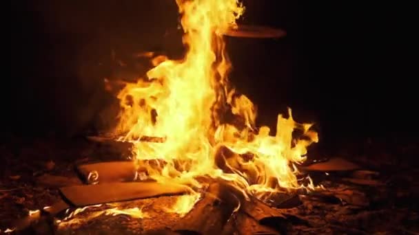 Una gran hoguera ardiendo por la noche. Fuego Llama Fondo. Moción lenta 240 fps — Vídeos de Stock