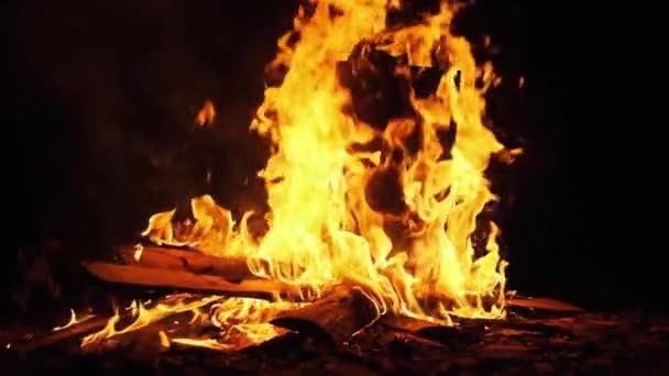 Een groot vreugdevuur dat 's nachts brandt. Vuur Vlam Achtergrond. Slow Motion 240 fps — Stockvideo