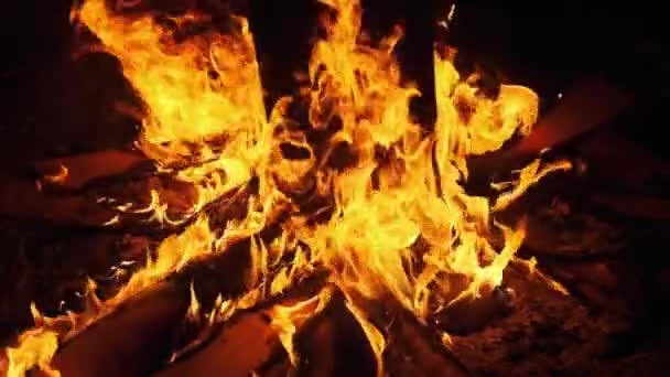 Stora brasan brinner på natten. Eldflammans bakgrund. Slow Motion 240 fps — Stockvideo