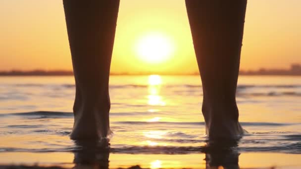 Silueta de piernas de mujer de pie en el agua al atardecer en la playa. Moción lenta — Vídeo de stock