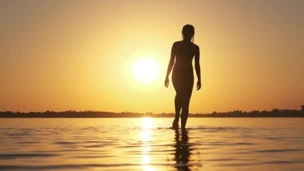 Sylwetka kobiety chodzącej po płytkiej wodzie o zachodzie słońca na plaży. Zwolniony ruch — Wideo stockowe