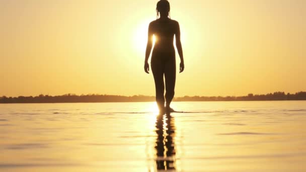 Sylwetka kobiety chodzącej po płytkiej wodzie o zachodzie słońca na plaży. Zwolniony ruch — Wideo stockowe