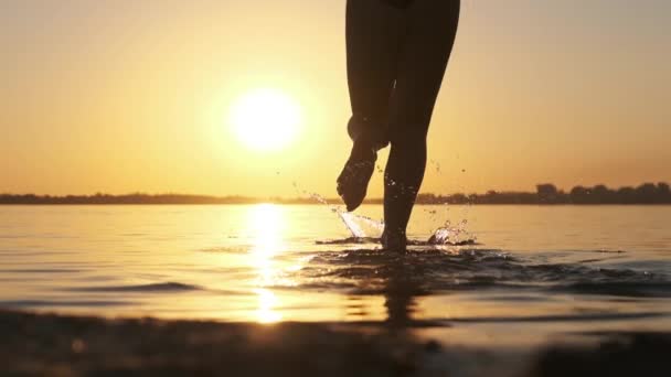 Woman Runs into Shallow Water at Golden Sunset on the Beach (em inglês). Movimento lento 240 fps — Vídeo de Stock