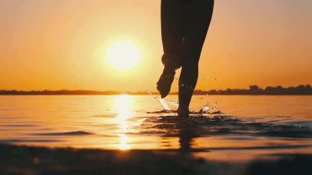 Woman Runs into Shallow Water at Golden Sunset on the Beach (em inglês). Movimento lento 240 fps — Vídeo de Stock