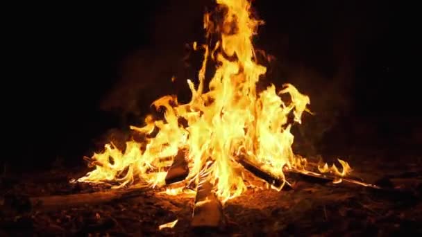 Büyük Şenlik Ateşi Gece Yanar. Ateş Arkaplanı. Slow Motion 240 fps — Stok video