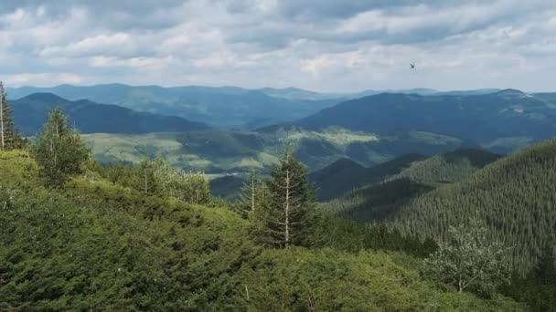 Пейзаж Вид на зеленые холмы в долине гор с хвойными лесами — стоковое видео