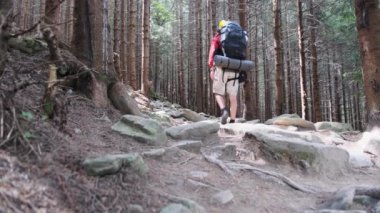 Ormandaki Taş Dağ Patikası boyunca Sırt çantalı Turist.