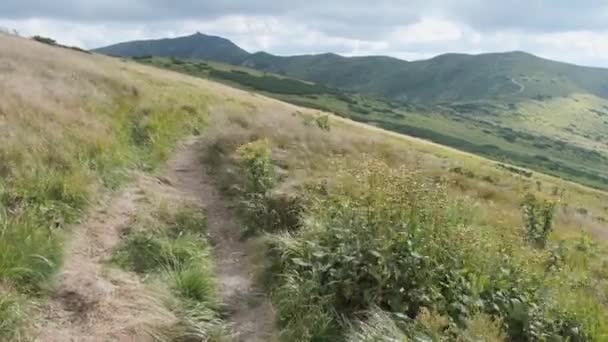 Sentier de montagne sur une colline de chaîne de montagnes. Vue paysage. Vallée des Carpates — Video