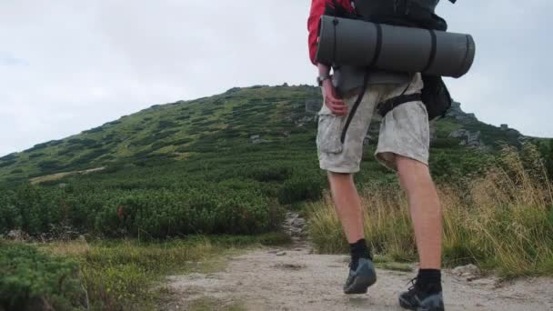 バックパック付きの観光客丘の上の石の山道に沿って登る — ストック動画