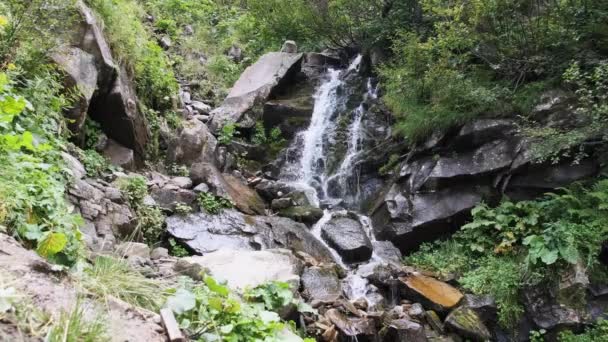 Wild Mountain Waterfall. Rapid Falling Water Bater nas Pedras. Movimento lento — Vídeo de Stock