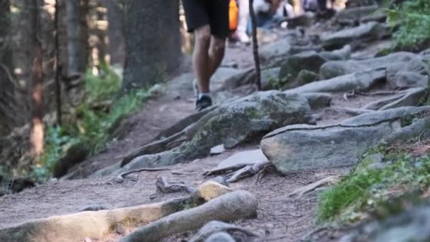 Utsikt över benen av gruppturister Klättra upp längs stenstig i Mountain Forest — Stockvideo