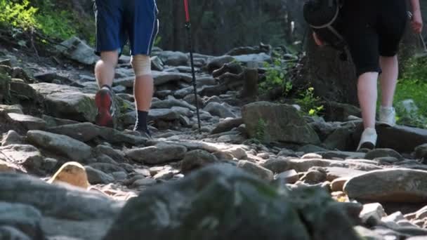 Pareja de turistas con mochilas trepando por el sendero de piedra en el bosque de montaña — Vídeo de stock