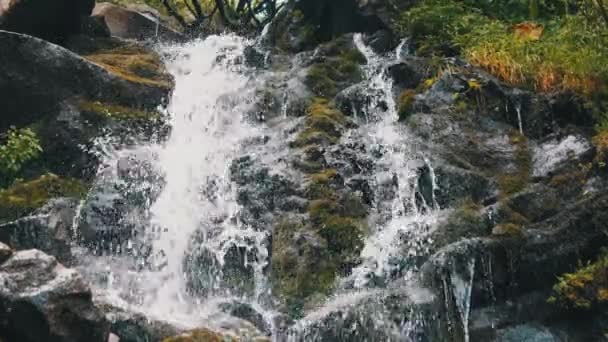 Divoký horský vodopád. Rychle padající voda dopadající na kameny. Pomalý pohyb — Stock video
