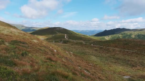 Landskap Utsikt över gröna kullar i dalen av bergen med barrskog — Stockvideo