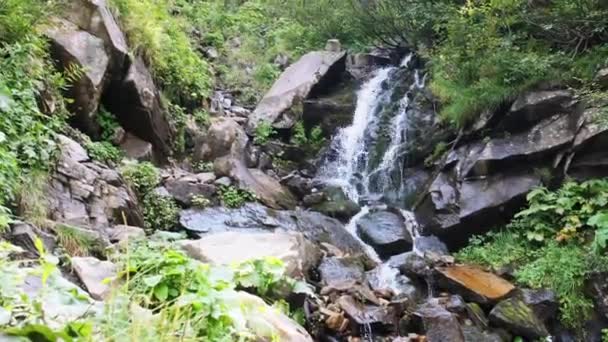 Wild Mountain Waterfall. Rapid Falling Water Bater nas Pedras. Movimento lento — Vídeo de Stock