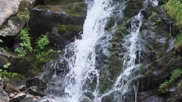 Водопад Дикой горы. Падение воды на камни. Slow Motion — стоковое видео