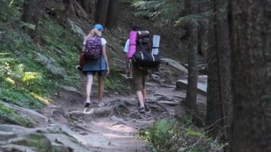 Sırt çantalı bir çift turist dağ ormanındaki taş patikaya tırmanıyor.