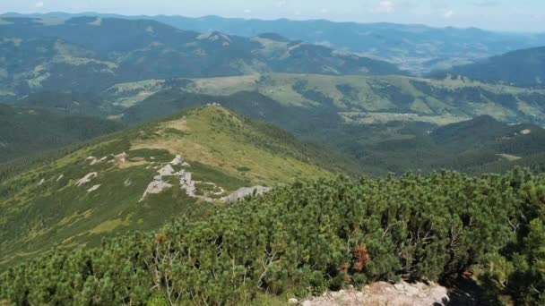 Chaîne de montagnes verdoyantes avec forêts de conifères et nuages de cumulus dans le ciel — Video