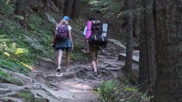 Paar toeristen met rugzakken klimmen op Stone Trail in Mountain Forest — Stockvideo