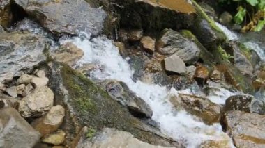 Vahşi Dağ Nehri taş kayalar ve taş akıntılarıyla akıyor. Yavaş Hareket