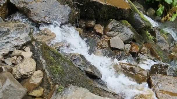 Wild Mountain River Fluindo com Pedras e Pedras Rápidas. Movimento lento — Vídeo de Stock