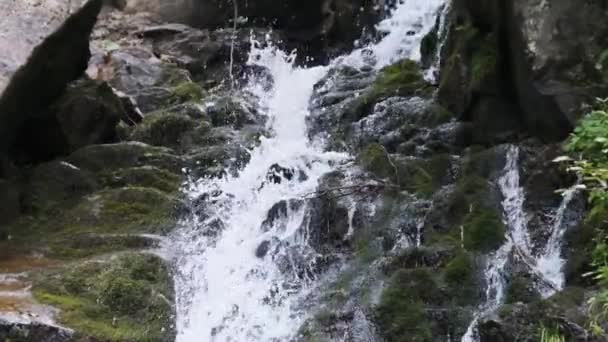 Wild Mountain Waterfall. Snabbt sjunkande vatten träffar stenarna. Slow Motion 240 — Stockvideo