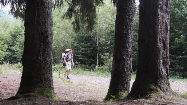 Toeristen met een rugzak wandelen omhoog langs de bergweg in het bos. — Stockvideo