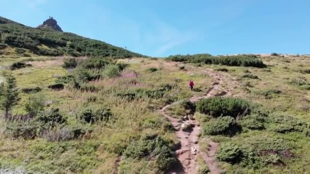 Vue Aérienne Panoramique De La Chaîne De Montagne Verte Et Des Collines Dans La Vallée Des Carpates — Video