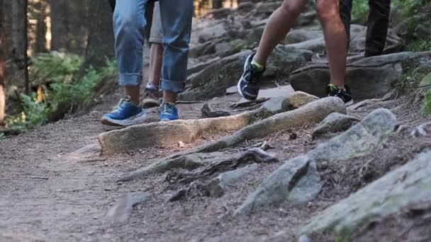 Vista de Pernas de Grupo Turistas Escalando ao longo da trilha de pedra na floresta de montanha — Vídeo de Stock