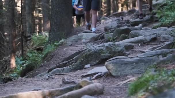 Blick auf Beine von Touristengruppen, die auf dem Steinweg im Bergwald klettern — Stockvideo