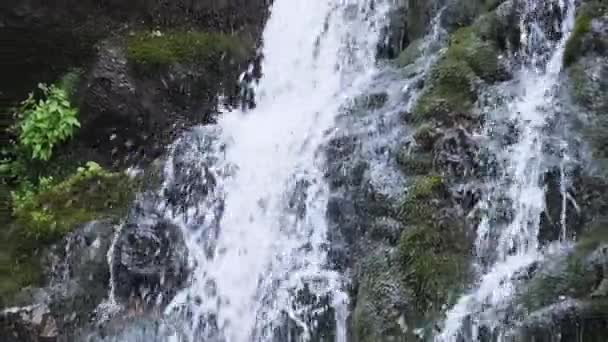 Cascada de montaña salvaje. Caída rápida de agua golpeando las piedras. Moción lenta — Vídeos de Stock