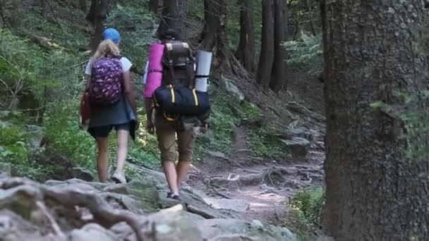 バックパック付きの観光客のカップル山の森の石の道を登る — ストック動画