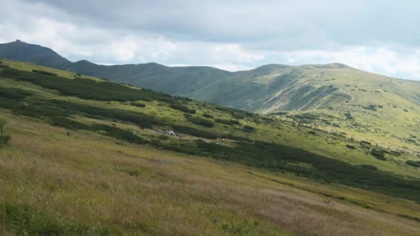 Paisaje Vista de Green Hills en el Valle de las Montañas con Bosques de Coníferas — Vídeo de stock