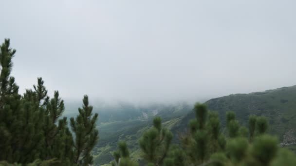 Niedrige Wolken und Nebel schieben sich bei starkem Wind den Berghang hinunter. Karpaten — Stockvideo