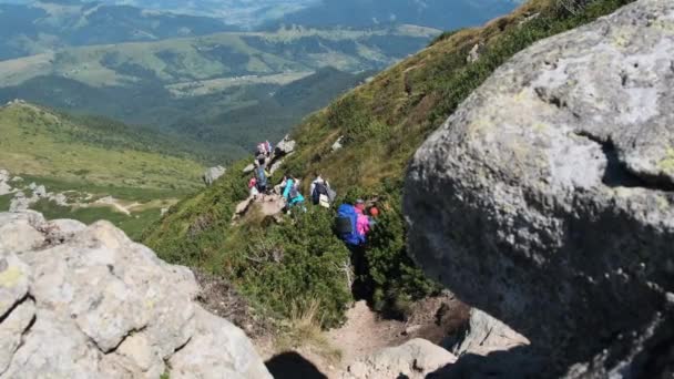 Gruppe von Touristen und Kindern mit Rucksäcken begeben sich auf Steinpfad in den Berg — Stockvideo