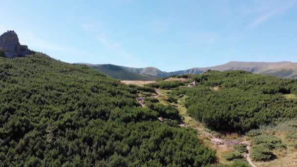 Flygfoto panoramautsikt över Green Mountain Range och Hills i Valley of Carpathian — Stockvideo