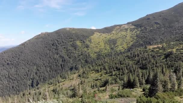 Flygfoto panoramautsikt över Green Mountain Range och Hills i Valley of Carpathian — Stockvideo