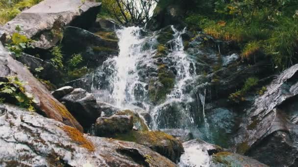 Cascada de montaña salvaje. Caída rápida de agua golpeando piedras. Movimiento lento 120 — Vídeos de Stock