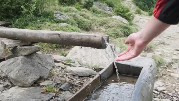 Água fresca cristalina da montanha que cai da tubulação de madeira. Caminhadas Aventura. — Vídeo de Stock