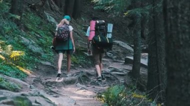 Sırt çantalı bir çift turist dağ ormanındaki taş patikaya tırmanıyor.