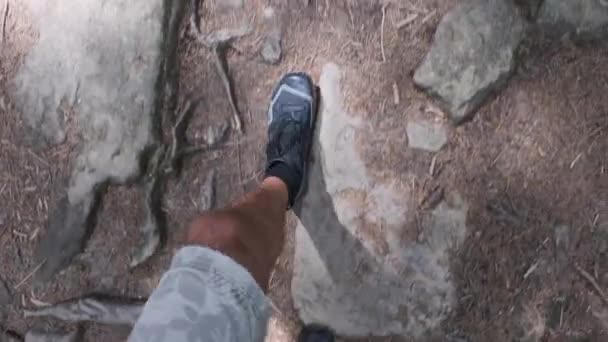 Ego-Blick auf die Beine eines Wanderers auf einem steinigen Bergpfad — Stockvideo