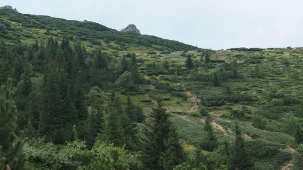 Paisaje Vista de Green Hills en el Valle de las Montañas con Bosques de Coníferas — Vídeos de Stock