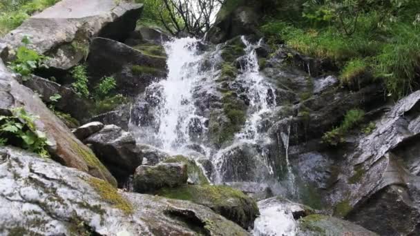 Wodospad Wild Mountain. Rapid Falling Water uderzające na kamienie. Zwolniony ruch 120 — Wideo stockowe