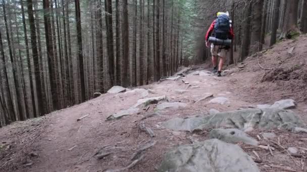 Turista s batohem jde po kamenné horské stezce v lese. — Stock video
